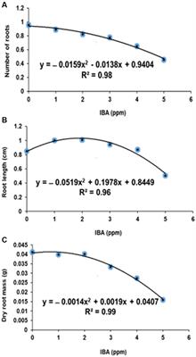 Exogenous IBA stimulatory effects on root formation of Actinidia deliciosa rootstock and Actinidia arguta male scion stem cuttings